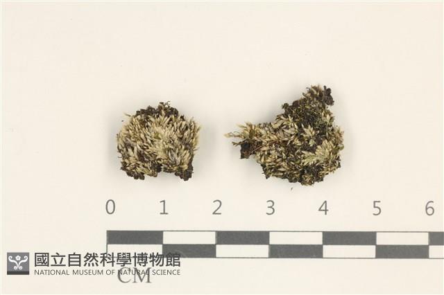 登錄號:B00016588藏品圖，第1張