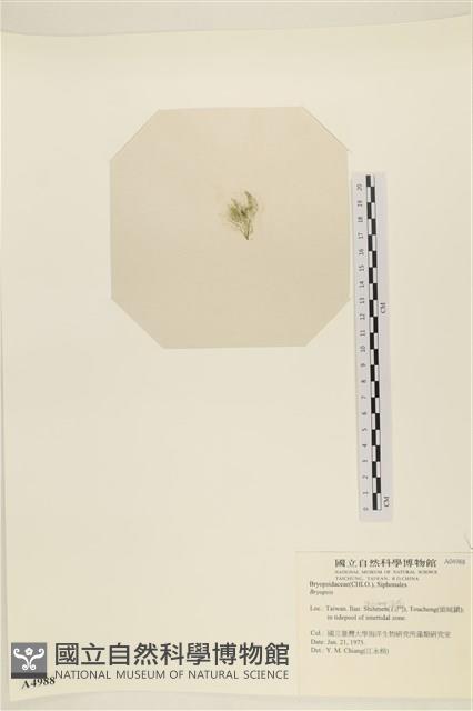 登錄號:A00004988藏品圖，第3張