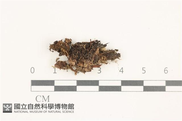 登錄號:B00019388藏品圖，第1張