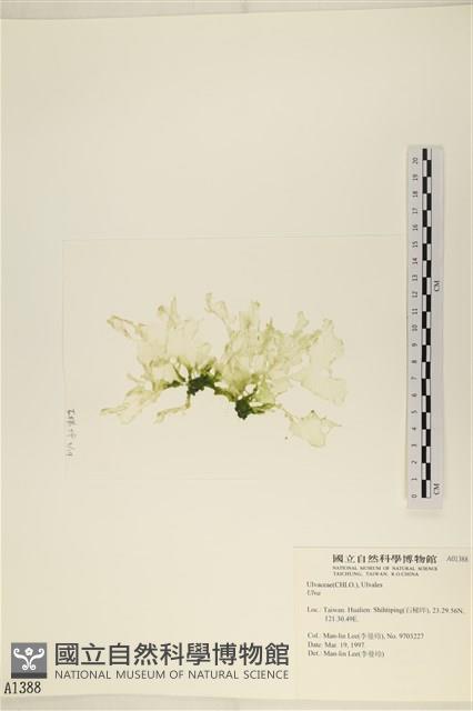 登錄號:A00001388藏品圖，第3張