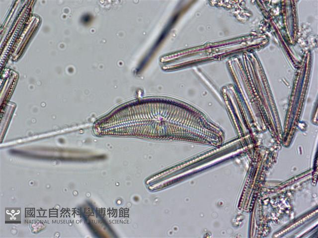 登錄號:A00004639藏品圖，第4張
