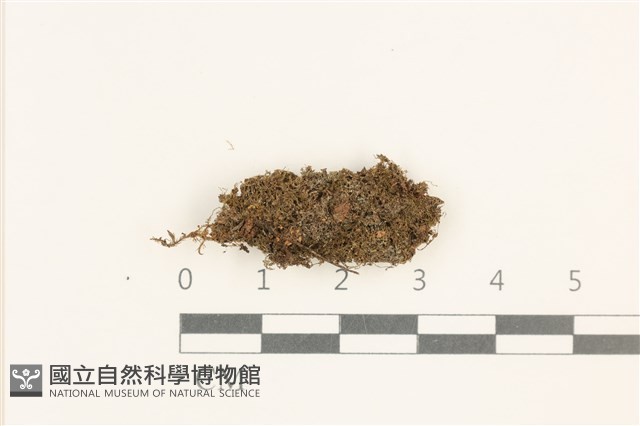 登錄號:B00014239藏品圖，第1張