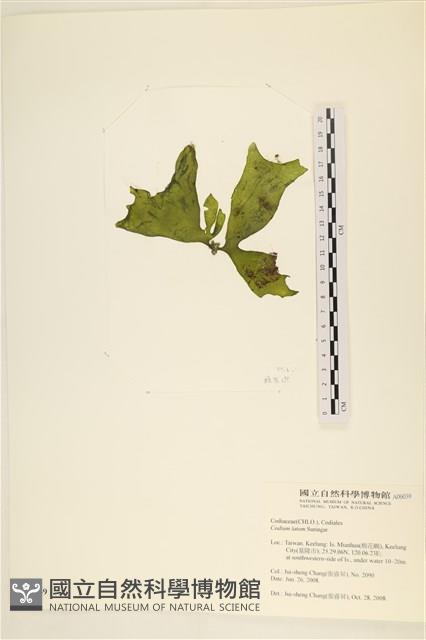登錄號:A00006039藏品圖，第3張