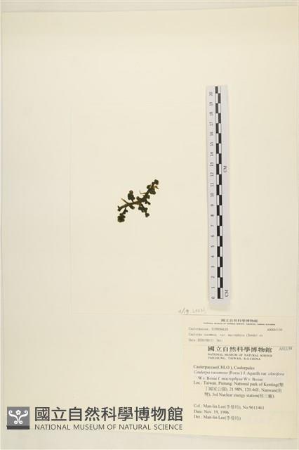 登錄號:A00001139藏品圖，第3張