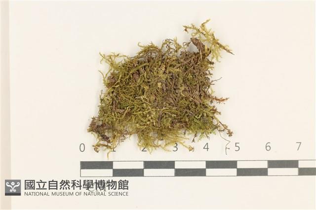 登錄號:B00015539藏品圖，第1張