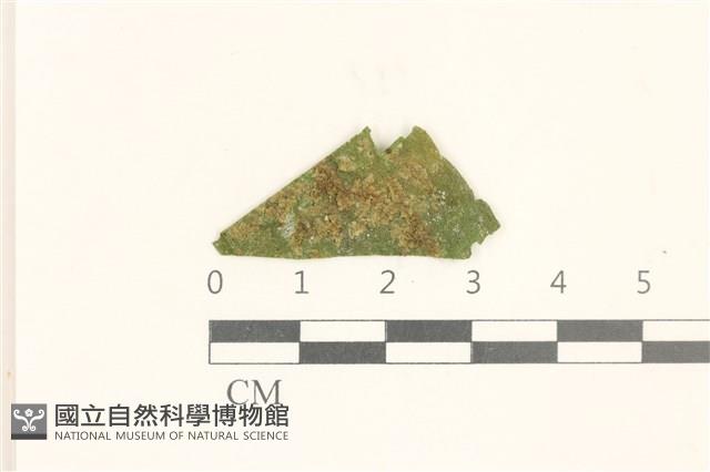登錄號:B00021539藏品圖，第1張