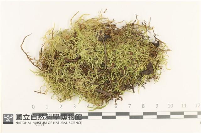 登錄號:B00012439藏品圖，第1張