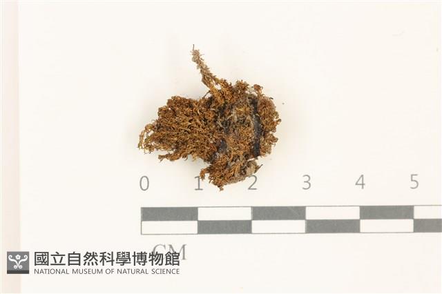 登錄號:B00014439藏品圖，第1張
