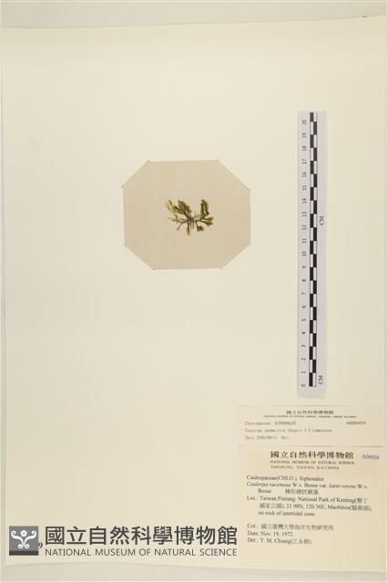登錄號:A00004939藏品圖，第3張