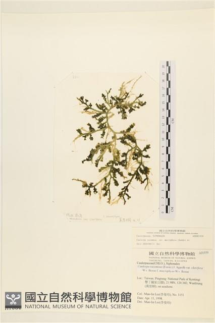 登錄號:A00001939藏品圖，第1張