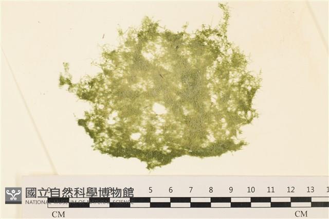 登錄號:A00001339藏品圖，第1張