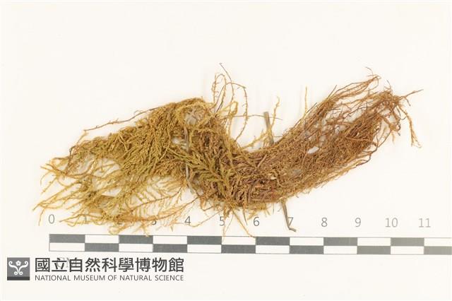 登錄號:B00001739藏品圖，第1張