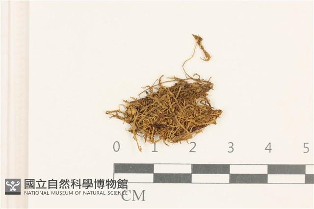 登錄號:B00009659藏品圖，第1張