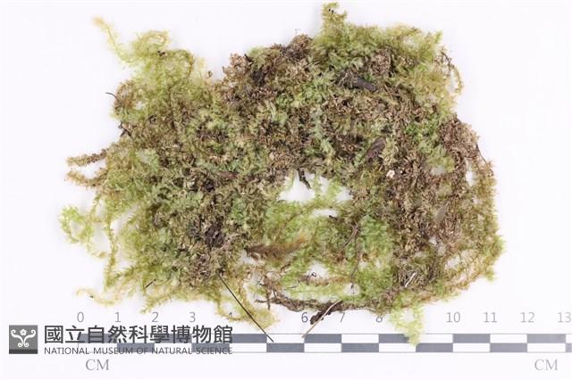 登錄號:B00011659藏品圖，第1張