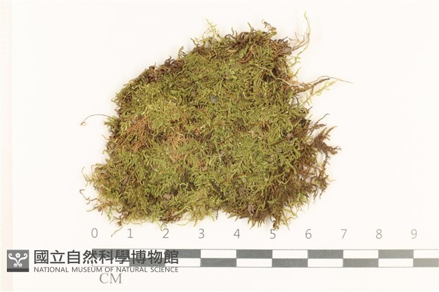 登錄號:B00014059藏品圖，第1張