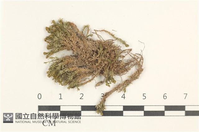 登錄號:B00018159藏品圖，第1張