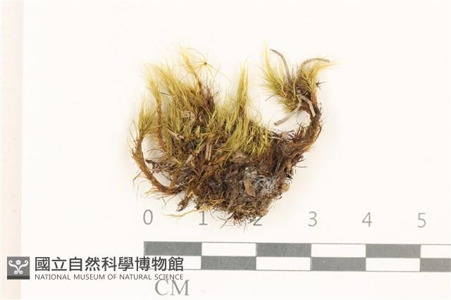 登錄號:B00015159藏品圖，第1張