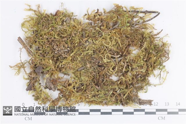 登錄號:B00012559藏品圖，第1張