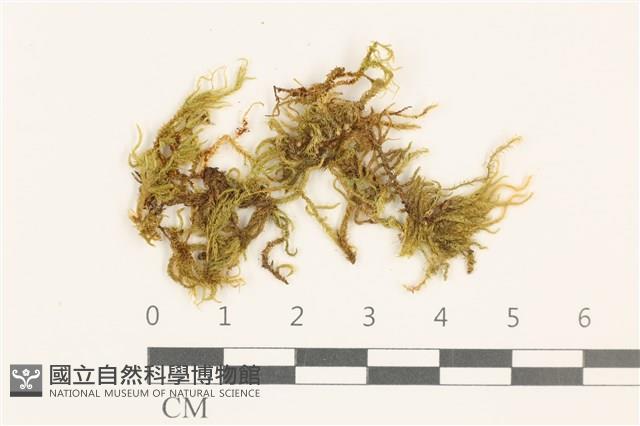 登錄號:B00009559藏品圖，第1張