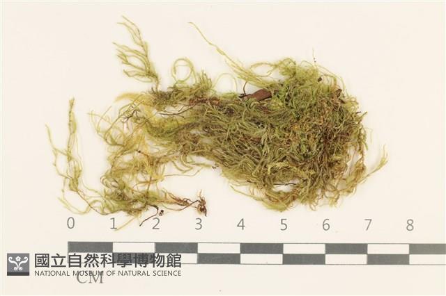 登錄號:B00015559藏品圖，第1張