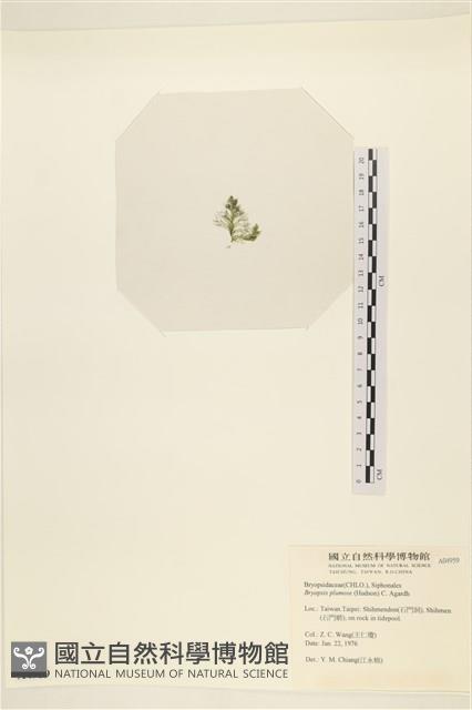 登錄號:A00004959藏品圖，第3張