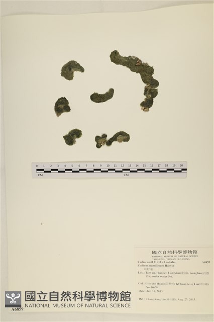 登錄號:A00006859藏品圖，第1張