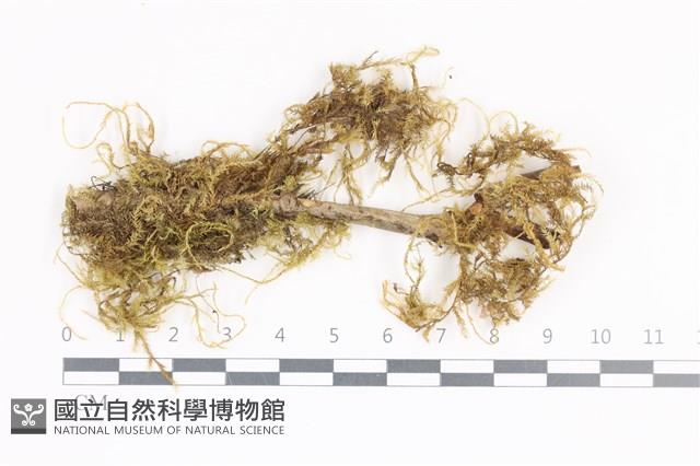 登錄號:B00011359藏品圖，第1張