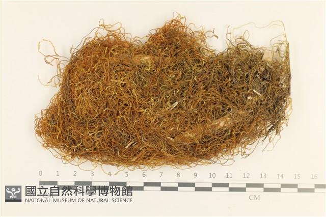 登錄號:B00017759藏品圖，第1張