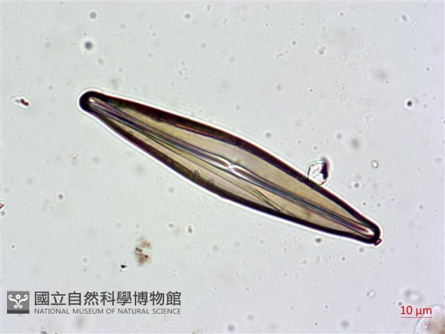 登錄號:A00004629藏品圖，第4張