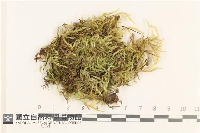 登錄號:B00017629藏品圖，第1張