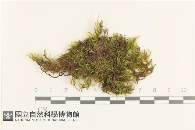 登錄號:B00000129藏品圖，第1張