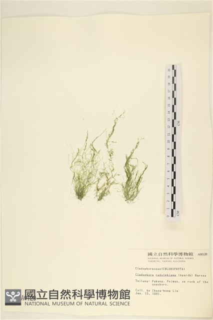 登錄號:A00000129藏品圖，第1張