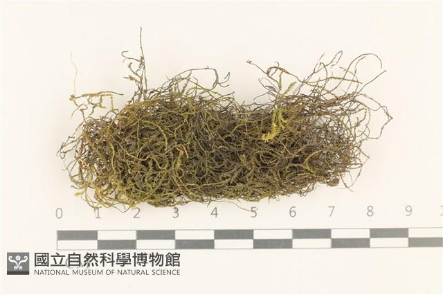 登錄號:B00002529藏品圖，第1張