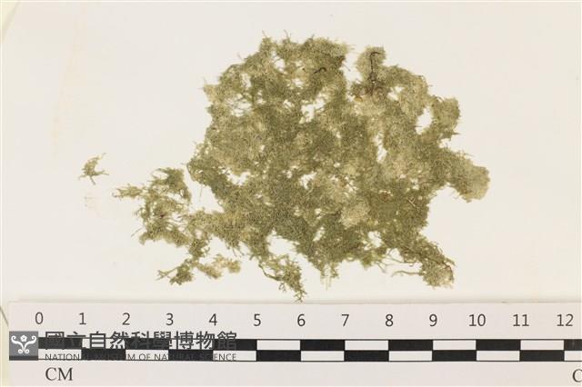 登錄號:A00003429藏品圖，第1張