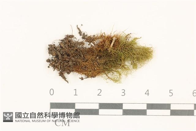 登錄號:B00020329藏品圖，第1張