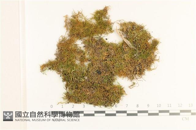 登錄號:B00012729藏品圖，第1張