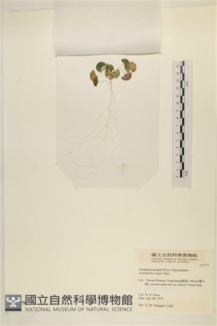 登錄號:A00005079藏品圖，第3張