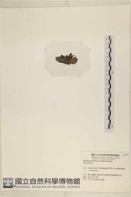 登錄號:A00002879藏品圖，第3張