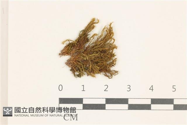 登錄號:B00008779藏品圖，第1張