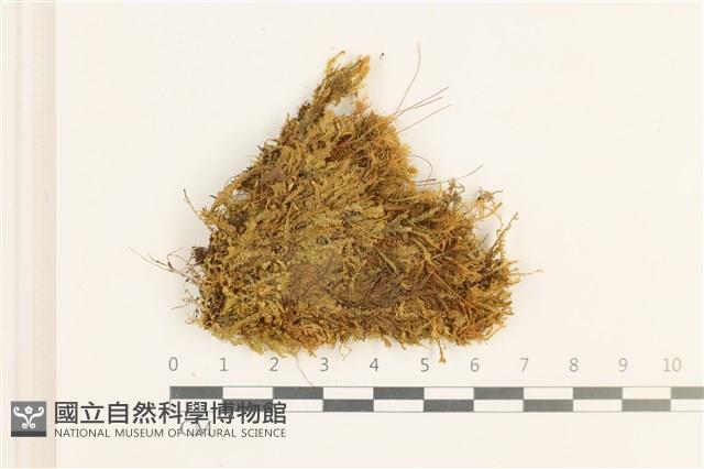 登錄號:B00001779藏品圖，第1張