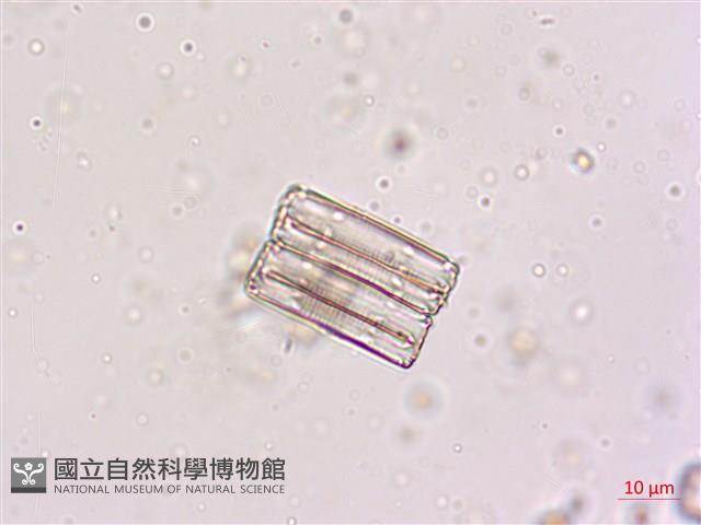 登錄號:A00004619藏品圖，第4張