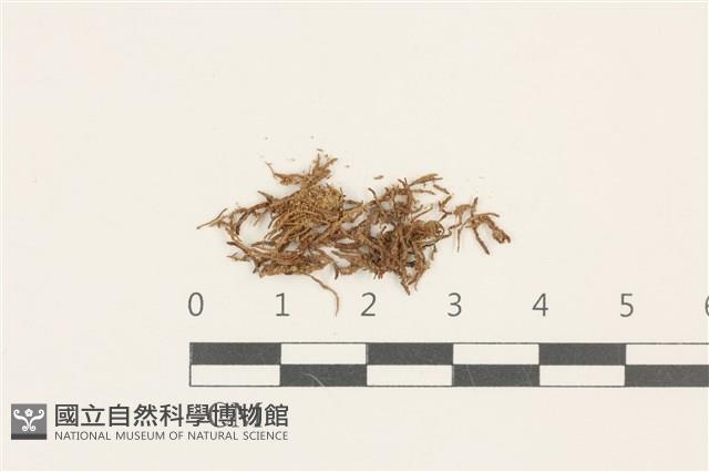 登錄號:B00010019藏品圖，第1張