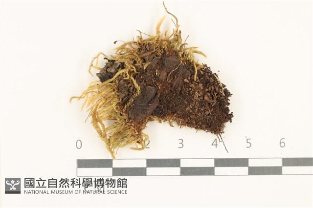 登錄號:B00015119藏品圖，第1張