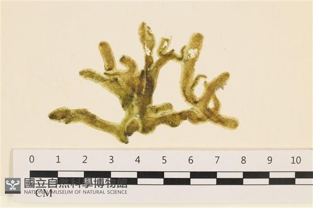 登錄號:A00005119藏品圖，第1張