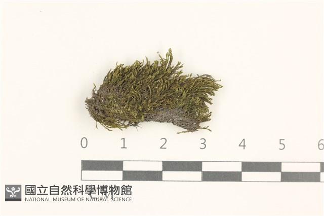 登錄號:B00021119藏品圖，第1張