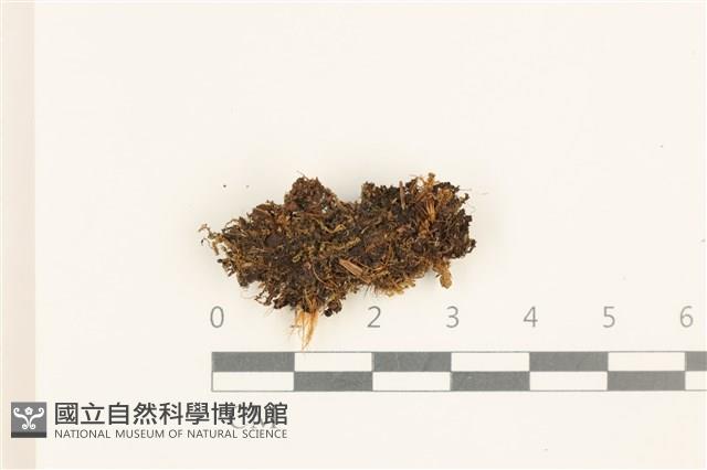 登錄號:B00019519藏品圖，第1張