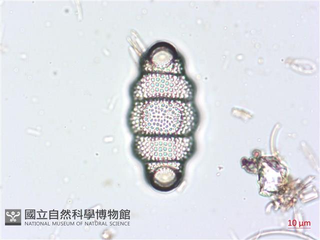 登錄號:A00004519藏品圖，第4張