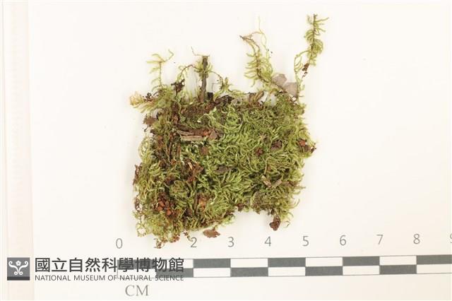 登錄號:B00012419藏品圖，第1張