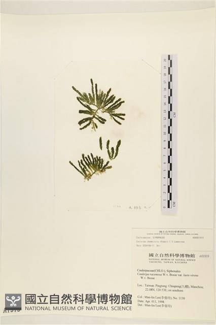 登錄號:A00001919藏品圖，第1張