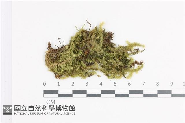 館號:B00020319藏品圖，第1張
